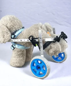 Chaise roulante pour chien