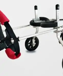 Chariot pour chat paralysé pattes arrières