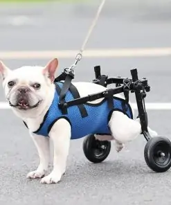 Chariot pour chien handicapé