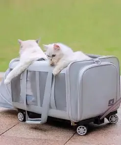 poussette pour chat pas cher